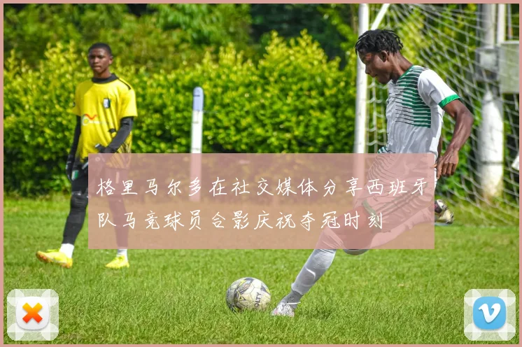 格里马尔多在社交媒体分享西班牙队马竞球员合影庆祝夺冠时刻